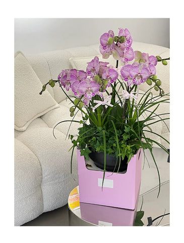 Vase Arrangement Delivery Box